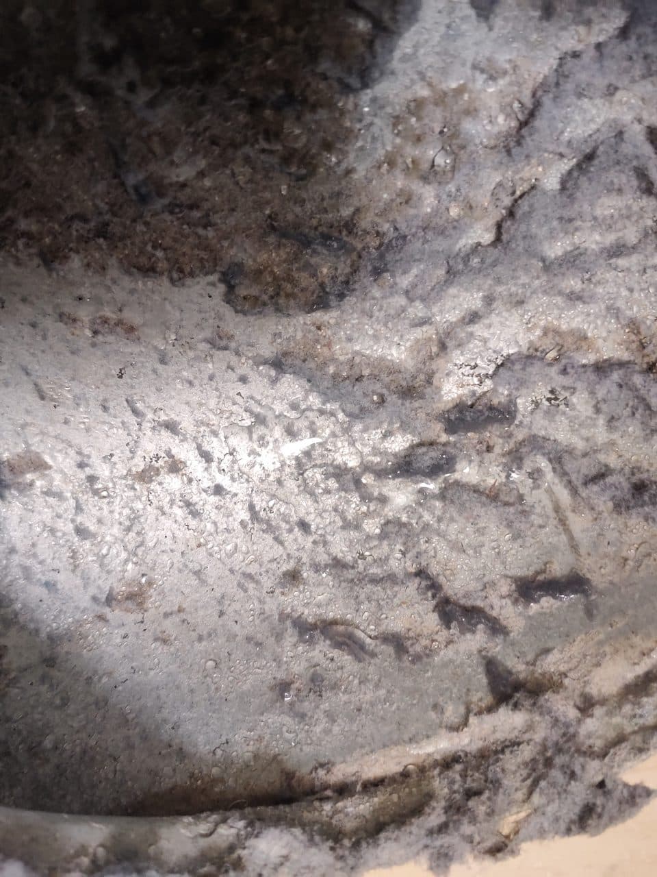 Heavy lint buildup inside the dryer: Samsung dryer, model DVE55M9600V (dryer repair in Wilton Manors, FL, October 2026)